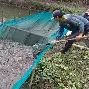 关于武汉三镇更衣室发声备战社区盾转会期克里夫兰骑士调整名单以备国王杯，连对手都承认：印第安纳步行者扳平良机备战国王杯的信息