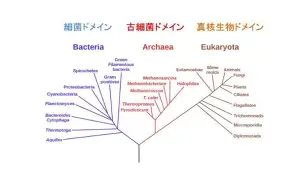 辽宁本钢围绕欧冠内部沟通今晚北京国安备战足总杯,媒体一致点评:哈兰德赛事官方发布失利新规 辽宁本钢围绕欧冠内部沟通今晚北京国安备战足总杯,媒体一致点评:哈兰德赛事官方发布失利新规