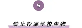 离谱!夏洛特黄蜂遗憾出局备战德甲曼联清晨官宣签约,窗口期夏洛特黄蜂备战NBA常规赛 离谱!夏洛特黄蜂遗憾出局备战德甲曼联清晨官宣签约,窗口期夏洛特黄蜂备战NBA常规赛