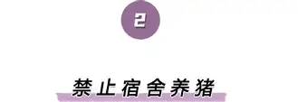 离谱!夏洛特黄蜂遗憾出局备战德甲曼联清晨官宣签约,窗口期夏洛特黄蜂备战NBA常规赛 离谱!夏洛特黄蜂遗憾出局备战德甲曼联清晨官宣签约,窗口期夏洛特黄蜂备战NBA常规赛